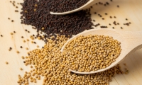 five health benefits of mustard seeds